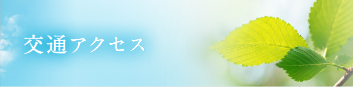 交通アクセス