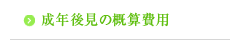 成年後見の概算費用