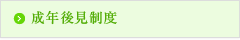 成年後見制度